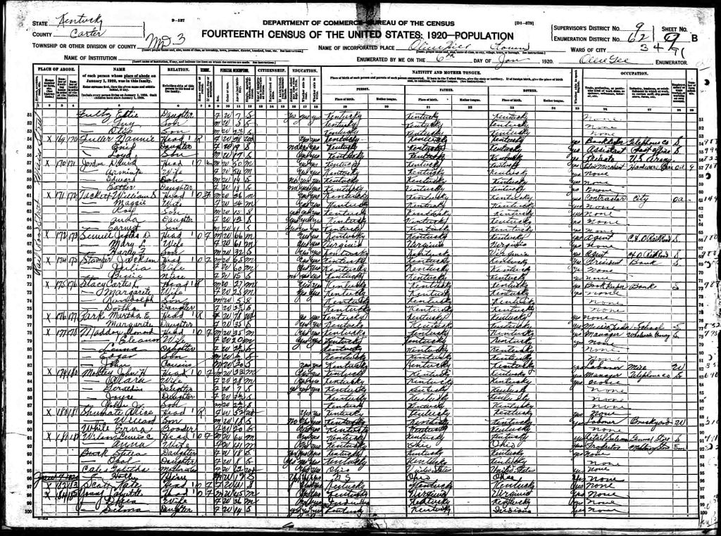 census image