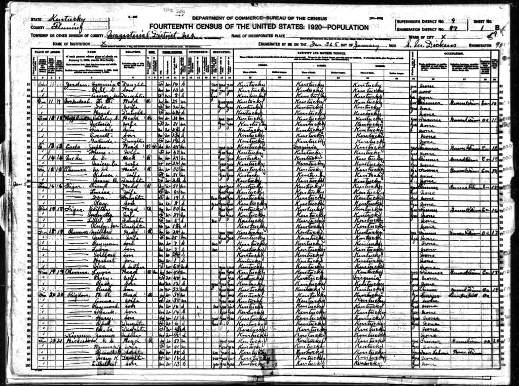 census image