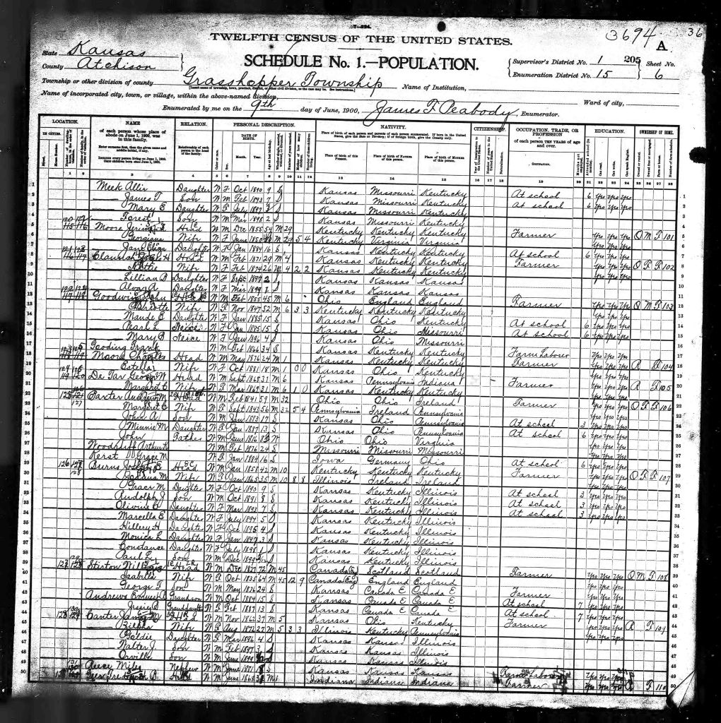 census image