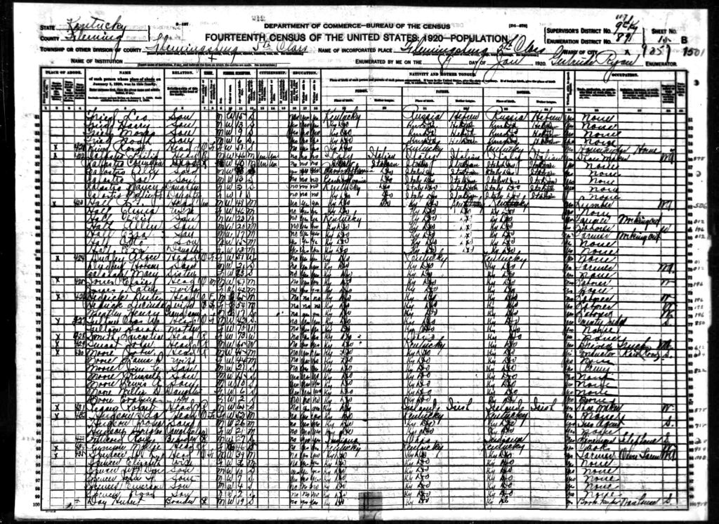 census image