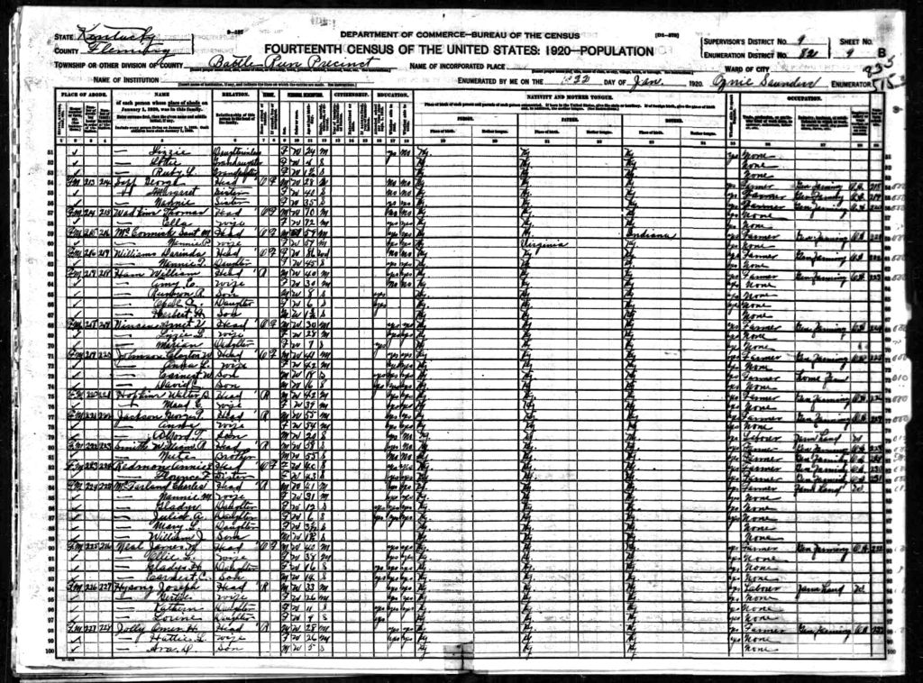 census image