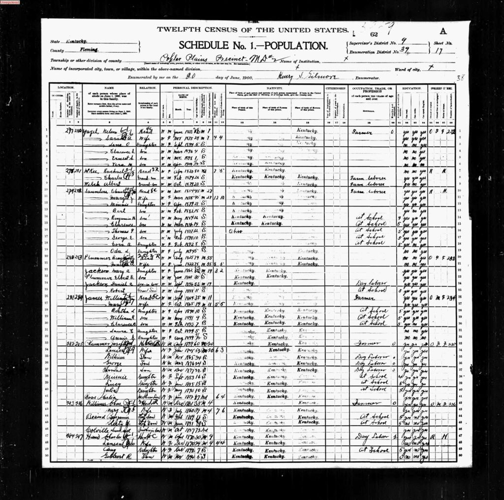 census image