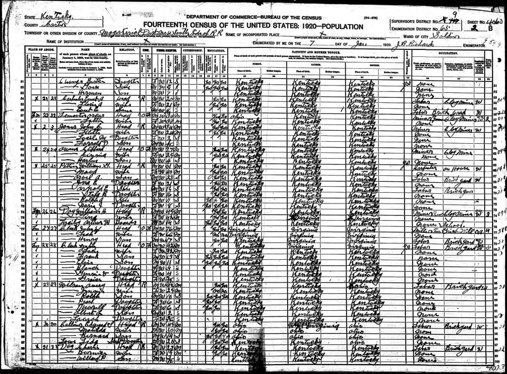 census image
