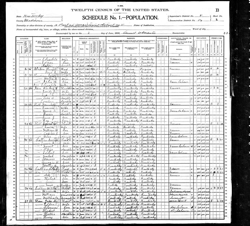 census image