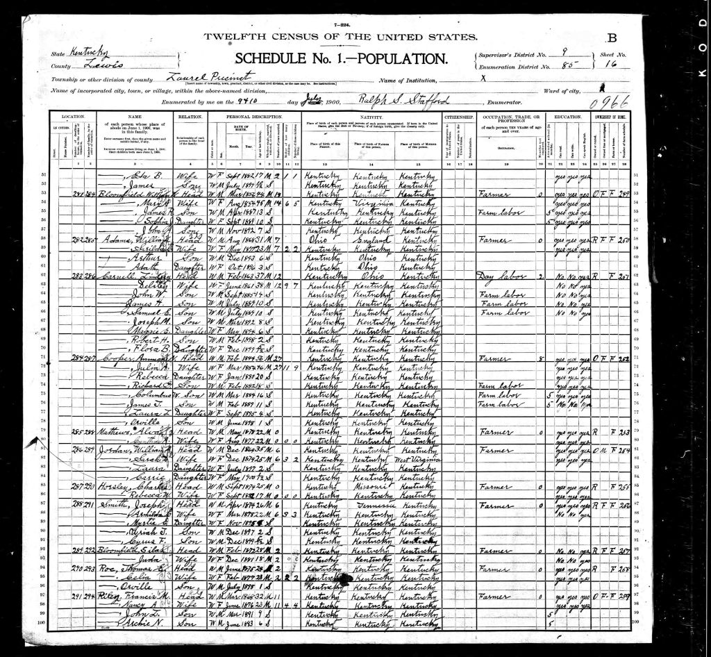 census image