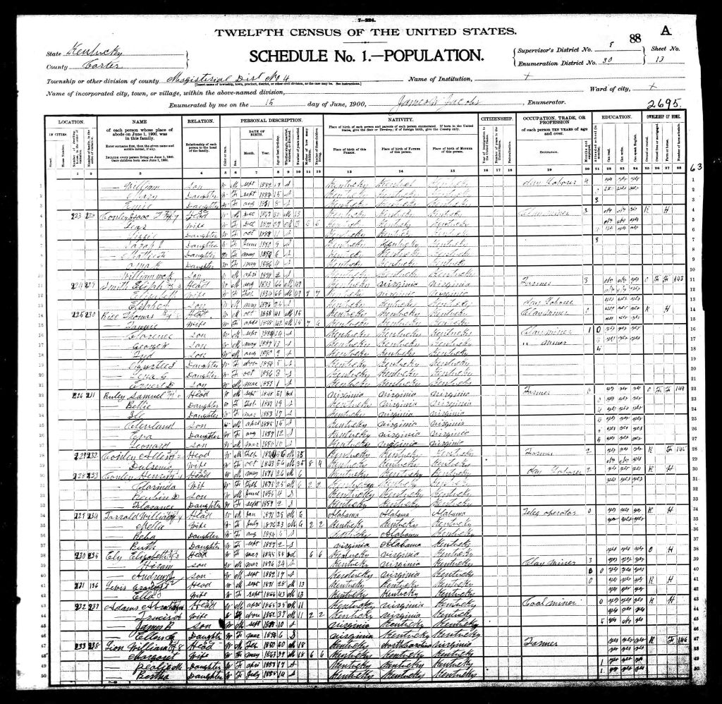 census image