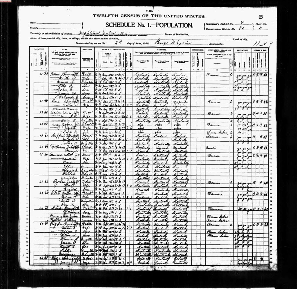 census image