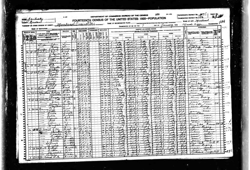 census image