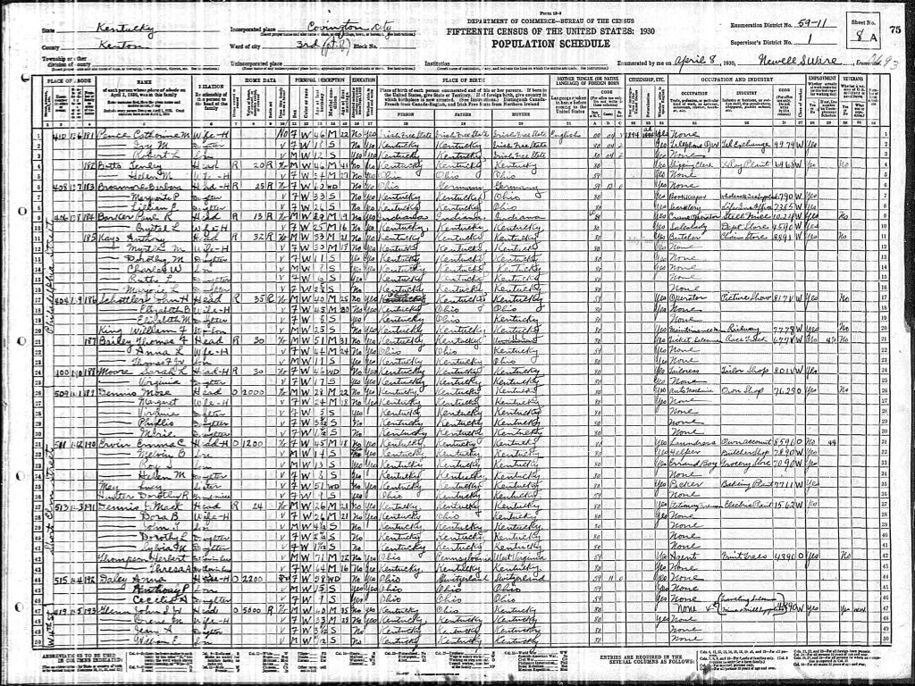 census image