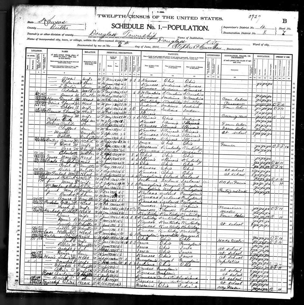 census image