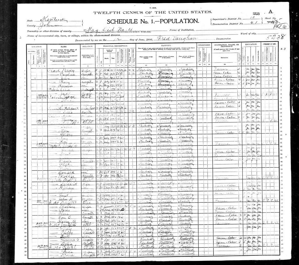 census image