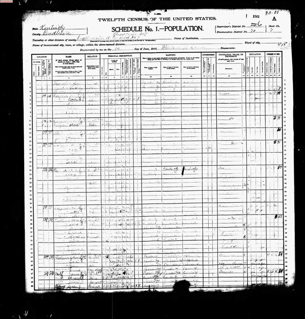 census image