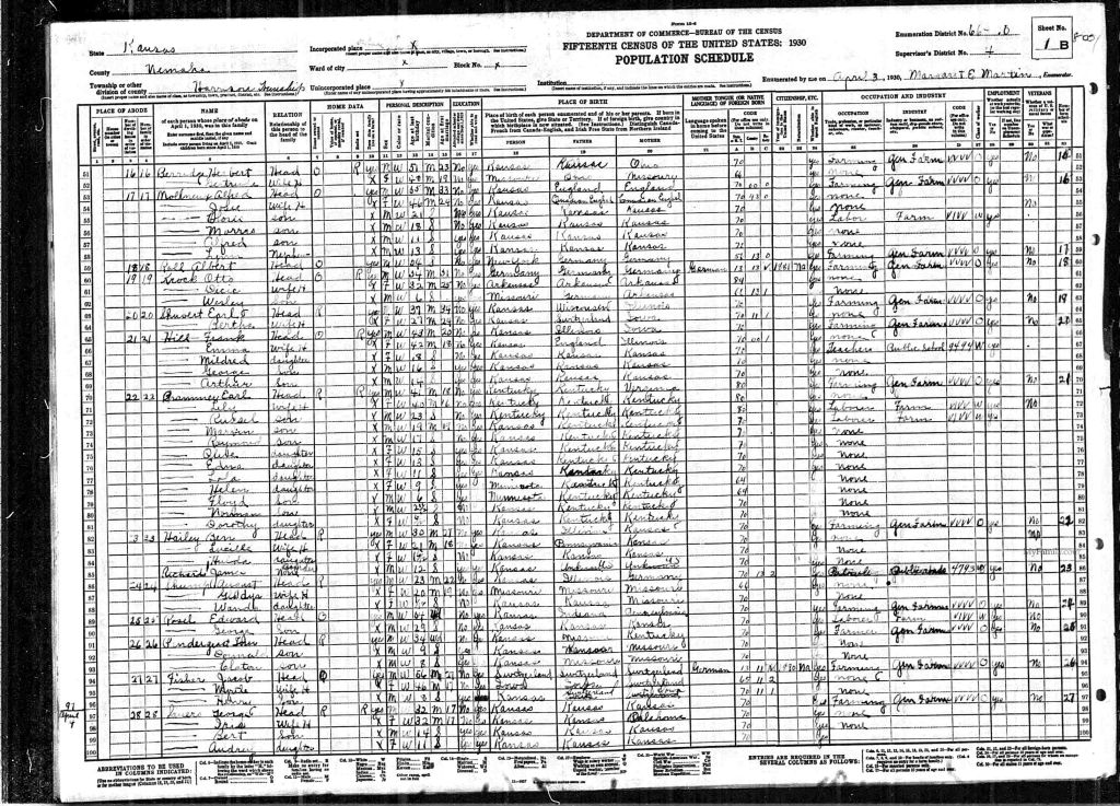 census image