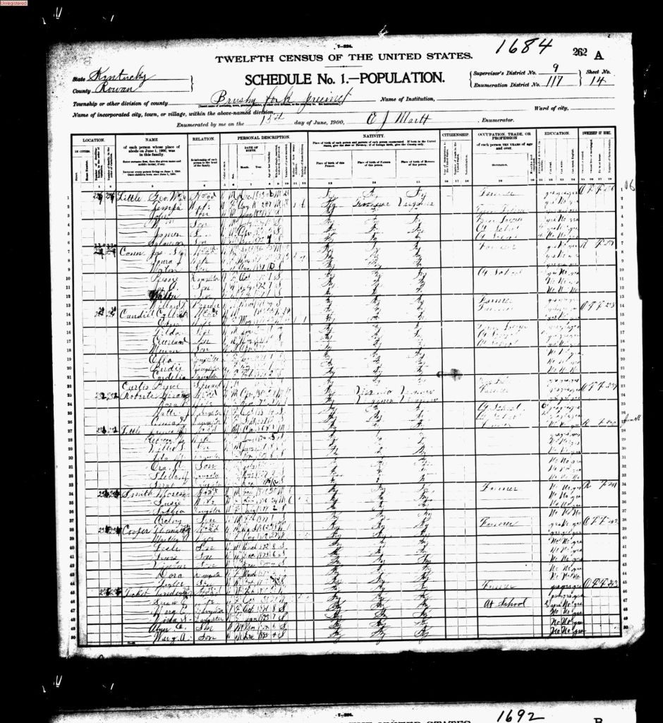 census image