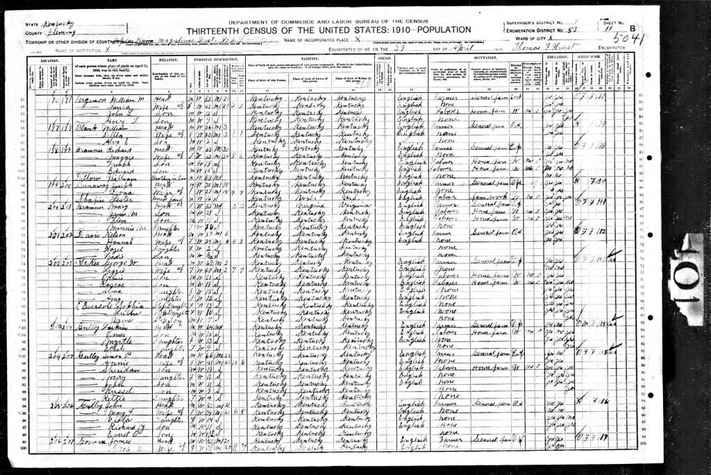 census image