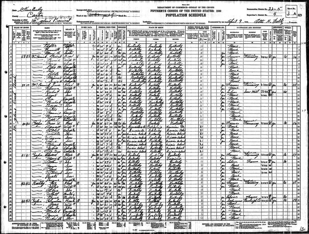 census image