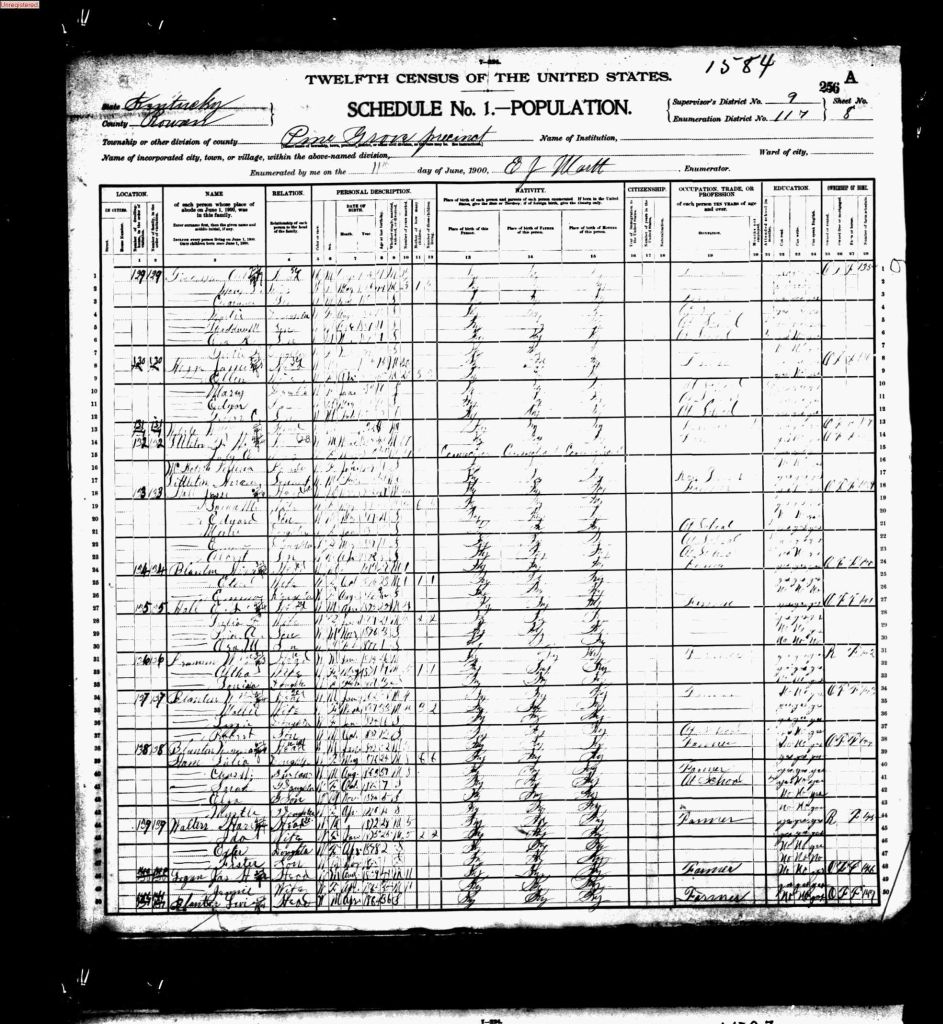 census image
