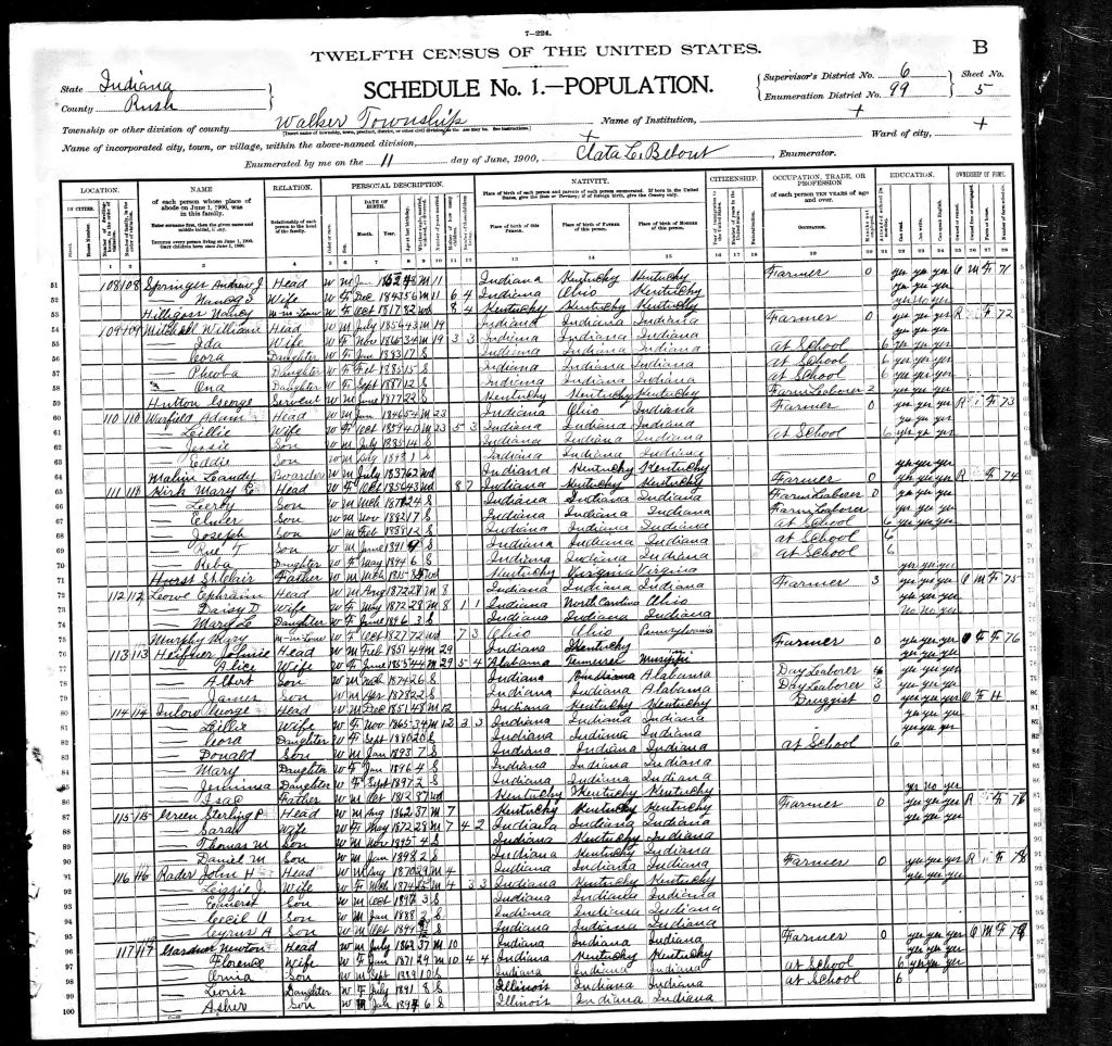 census image