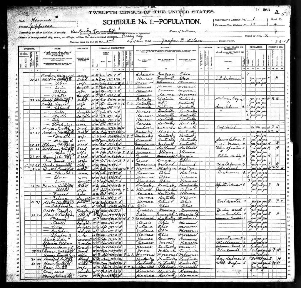 census image