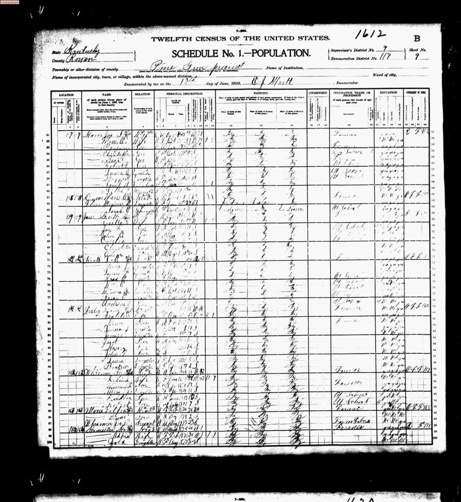 census image
