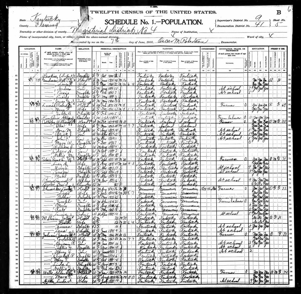 census image