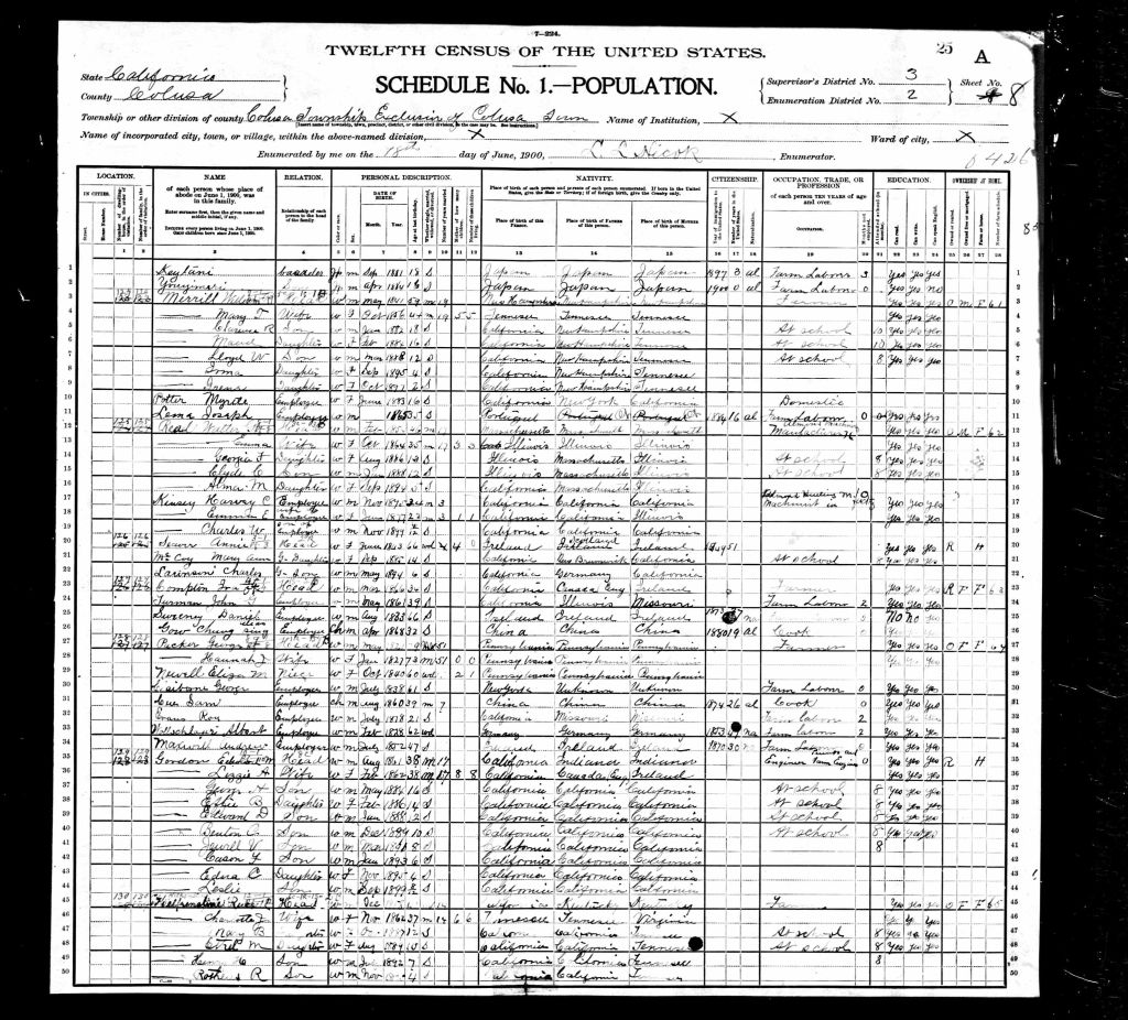 census image