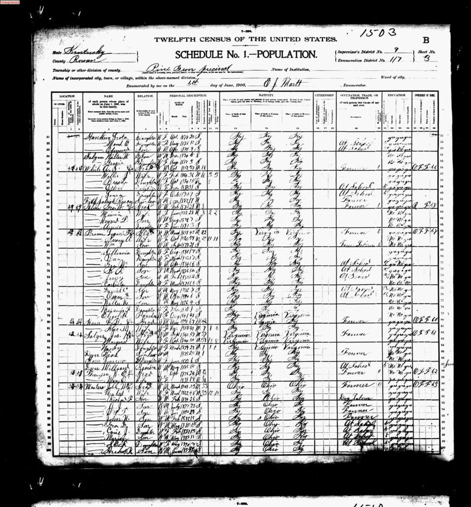 census image