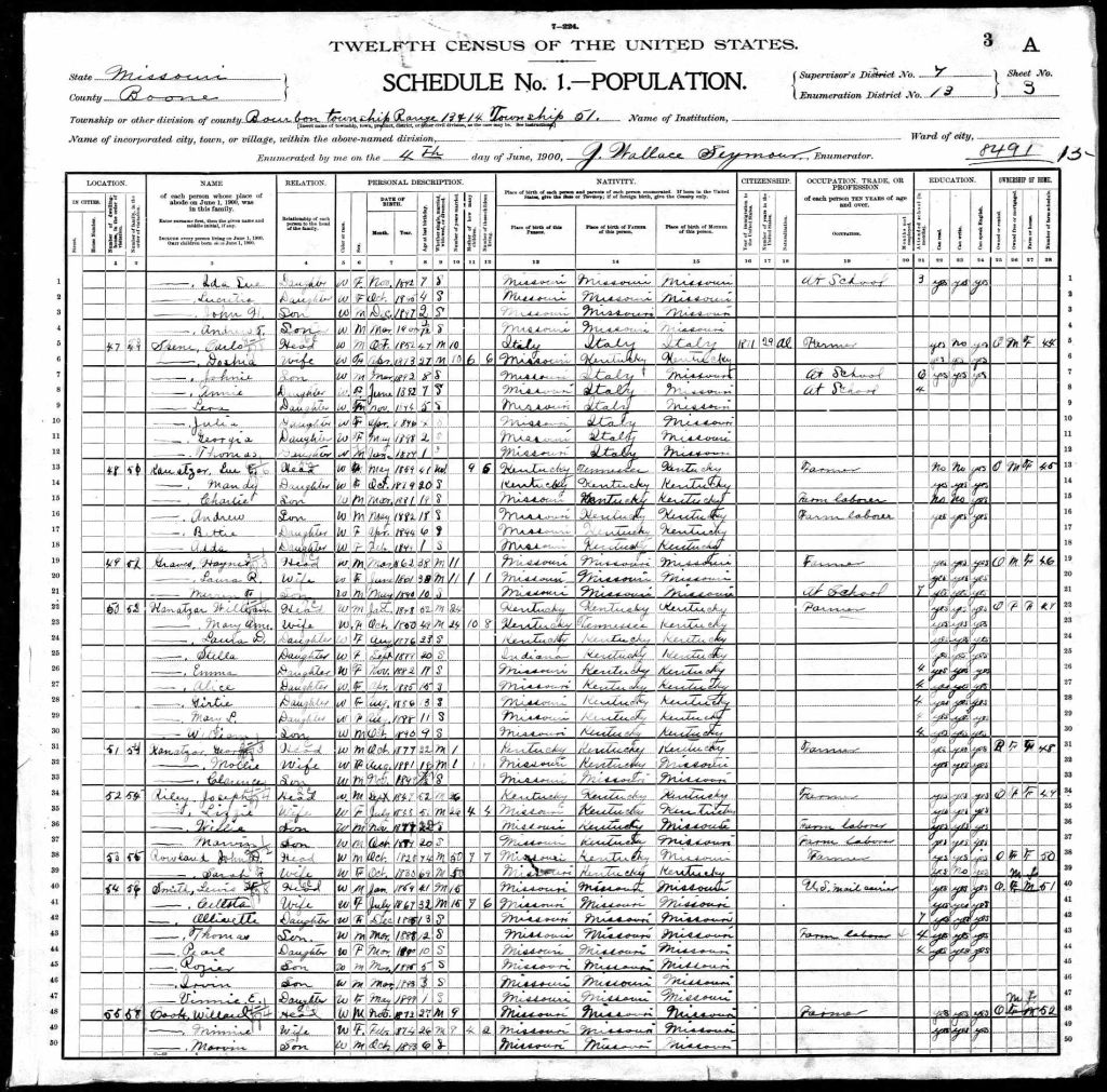 census image