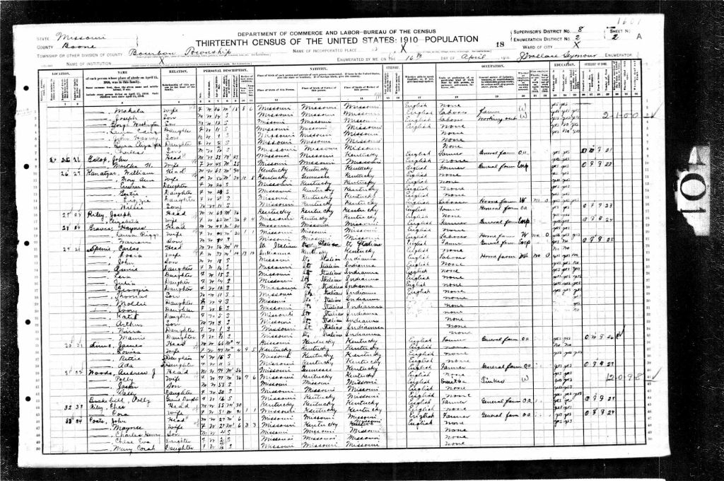 census image