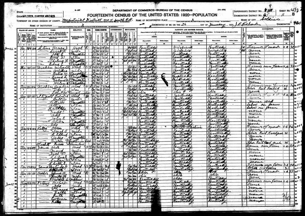 census image