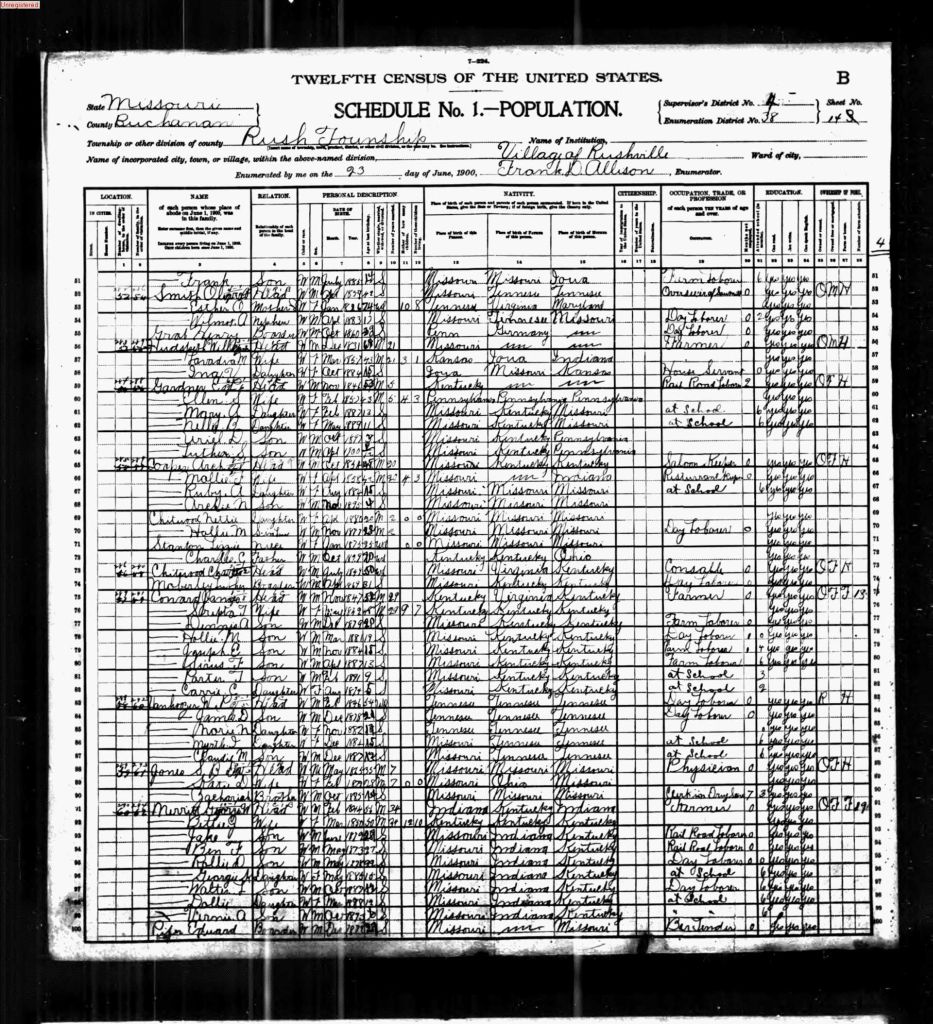 census image