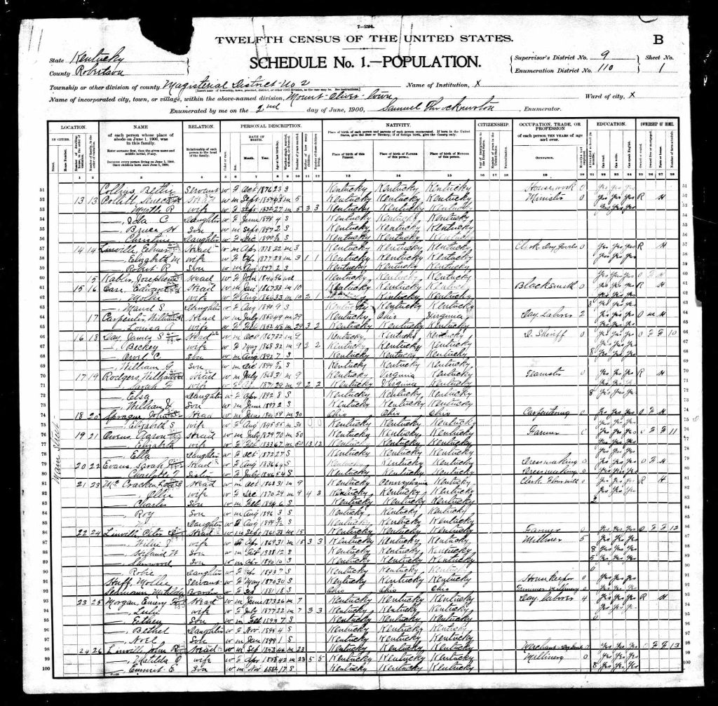census image