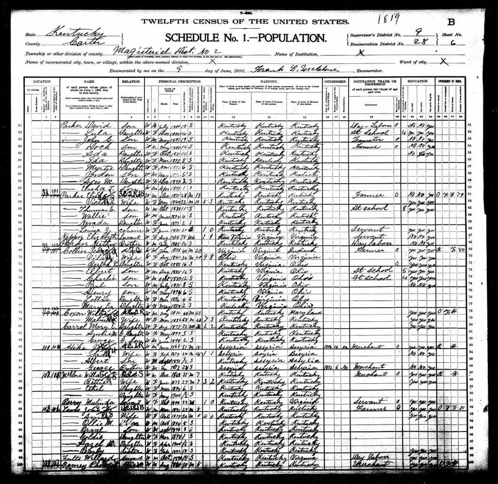 census image