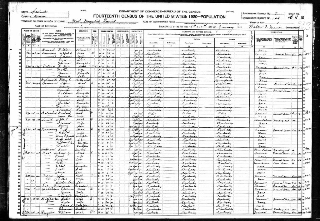 census image