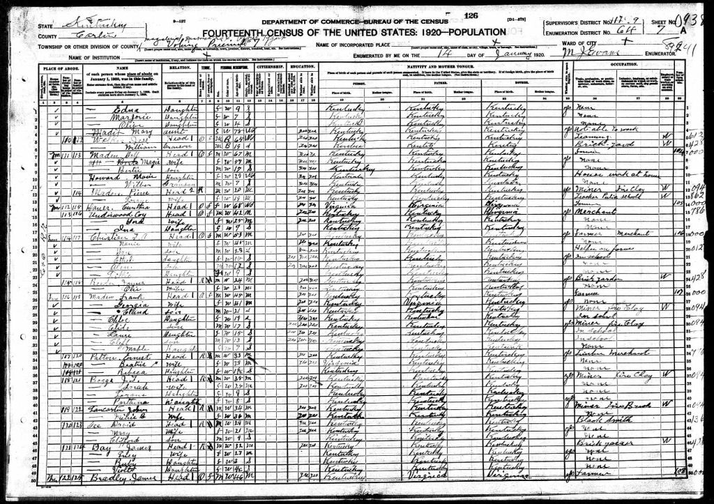 census image