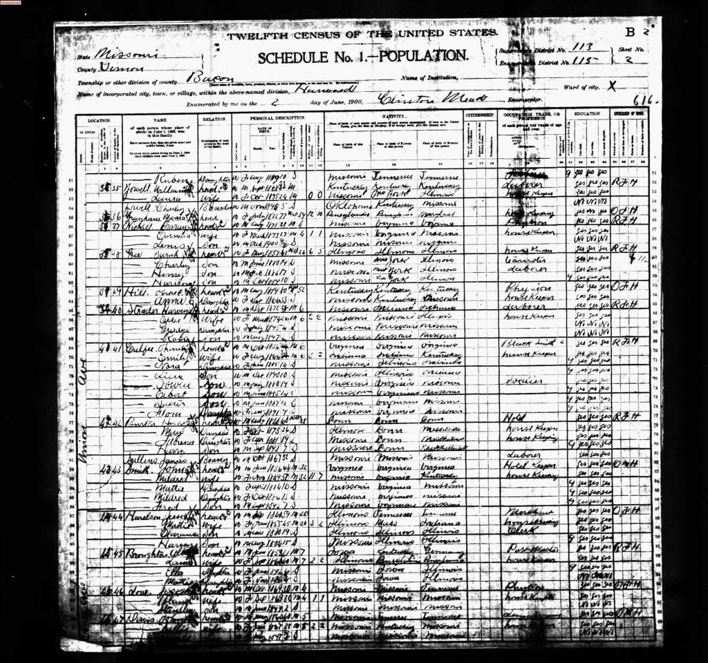 census image