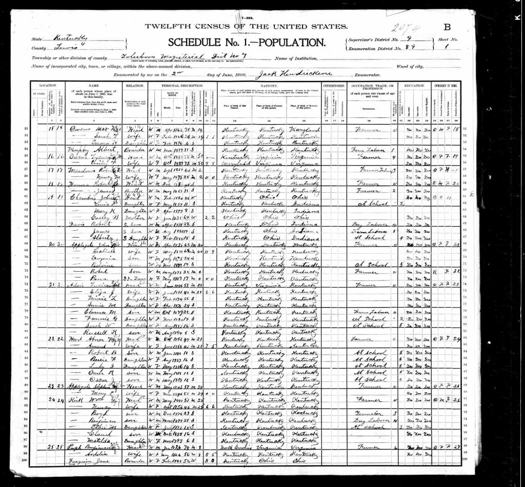 census image