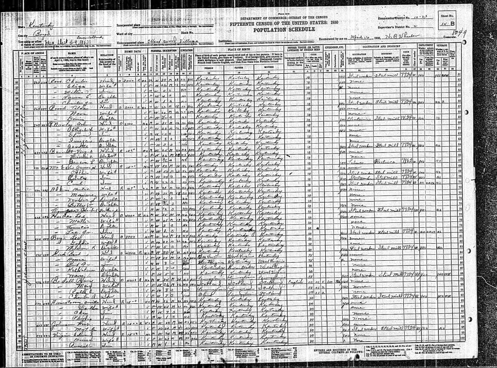 census image
