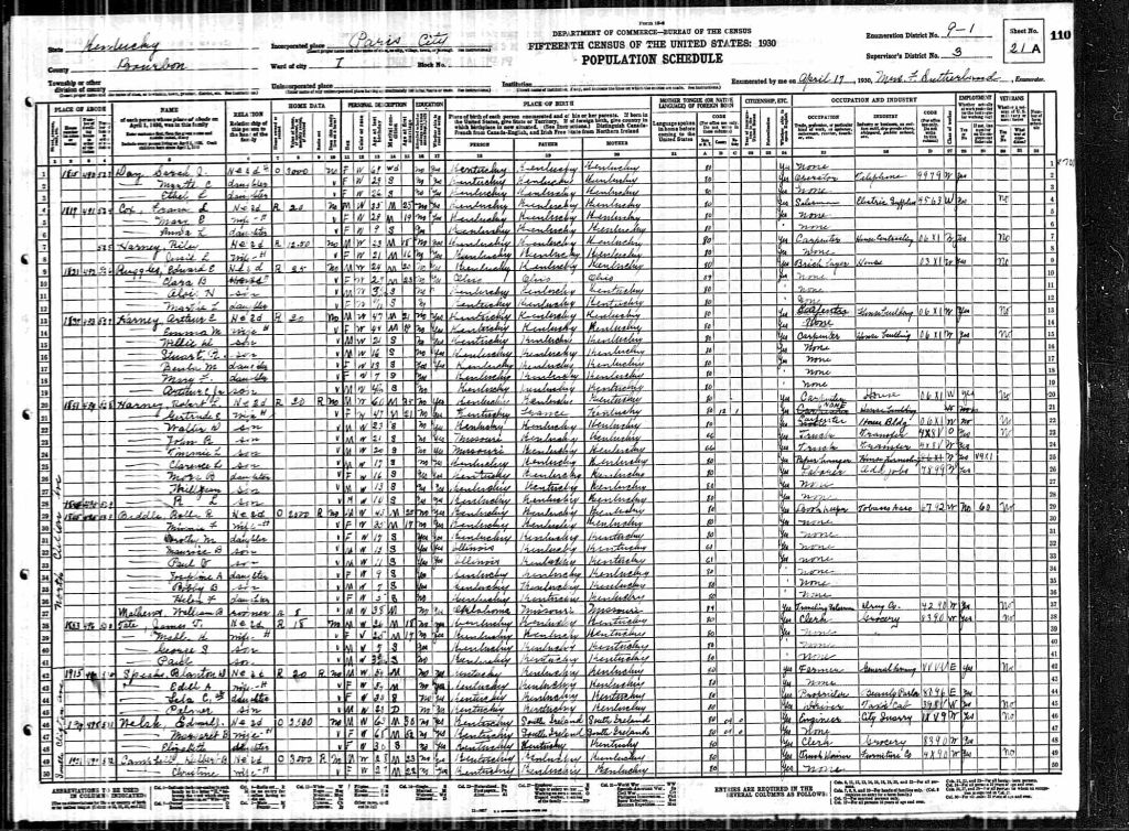 census image