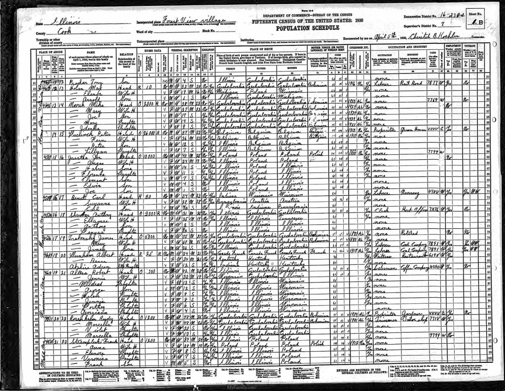 census image