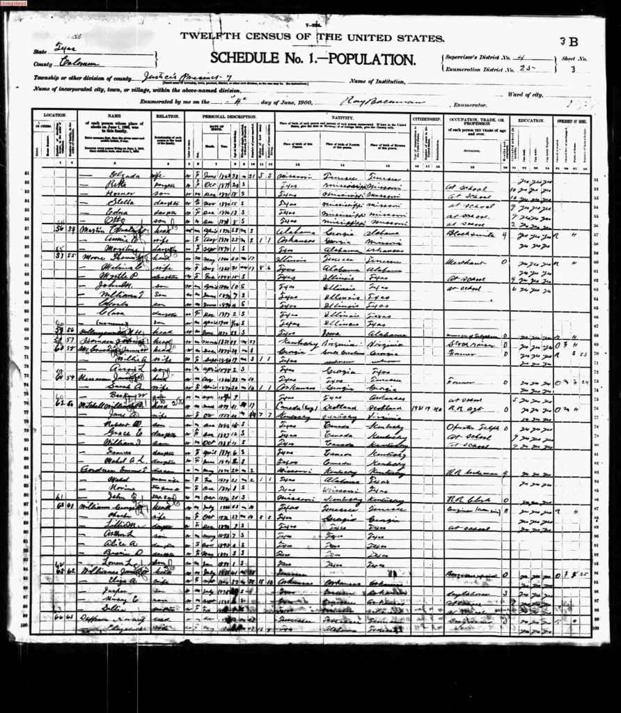 census image