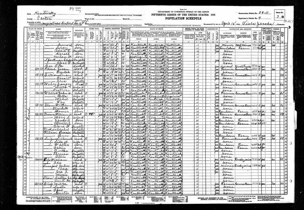 census image