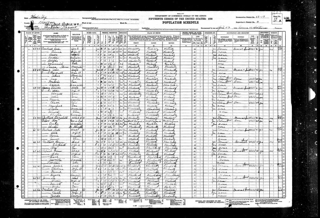 census image