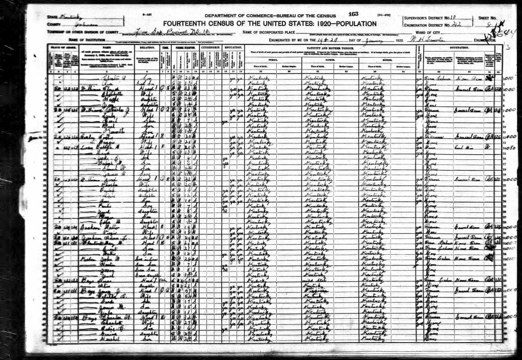 census image
