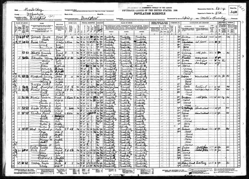 census image