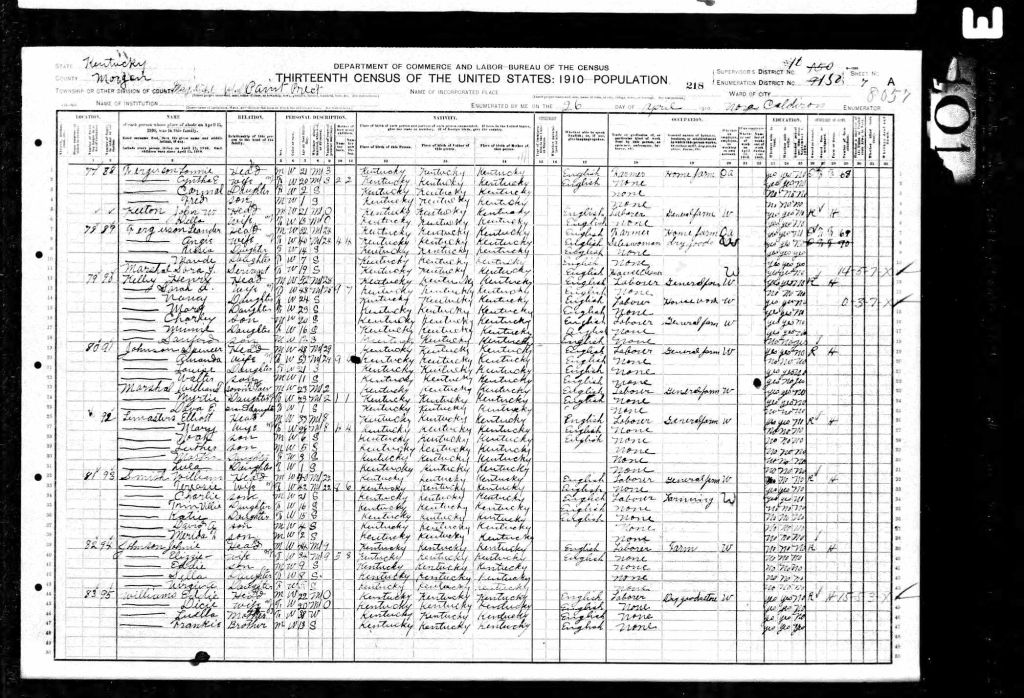 census image