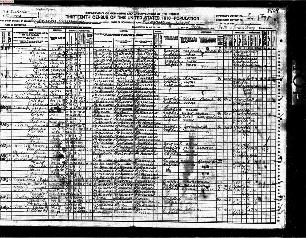 census image