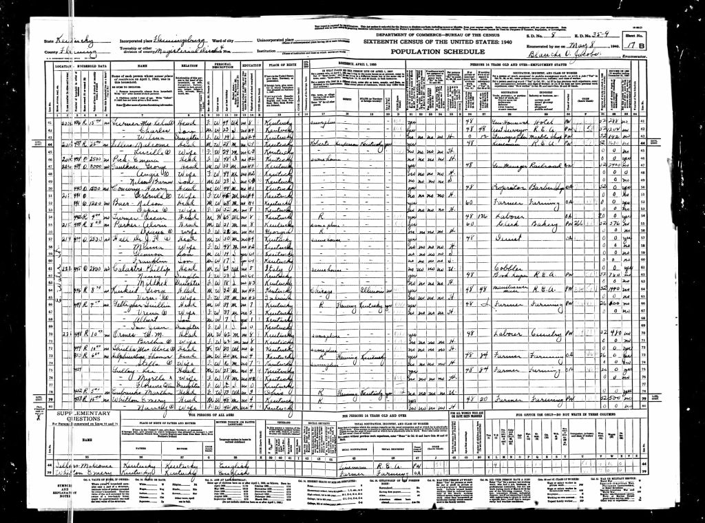 census image