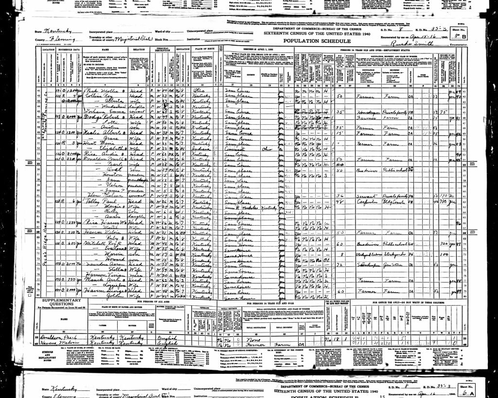 census image