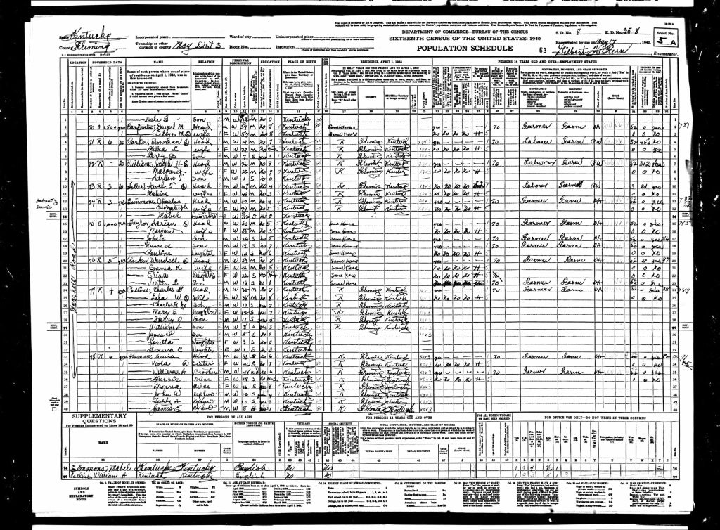 census image